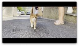 Mahefasoa PINEAU - LAED Compagnie