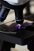 Cedric OSCHE - AuthenPik Studio